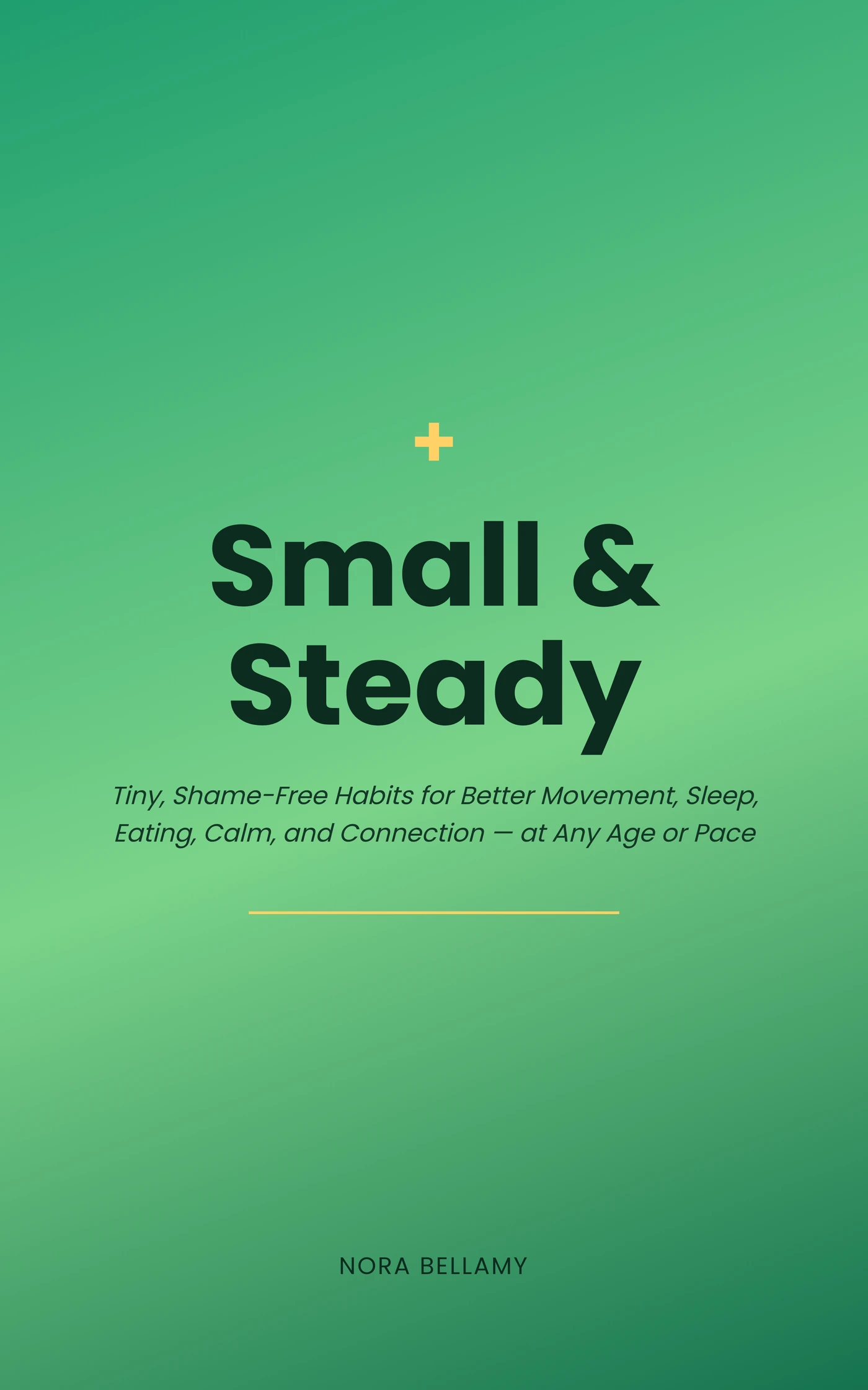 Small & Steady — cover