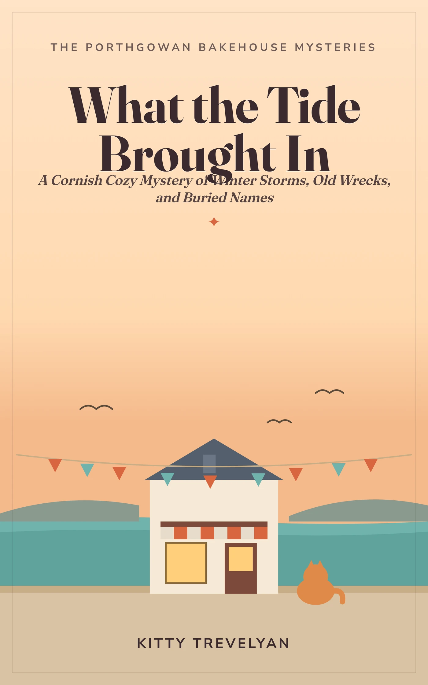 What the Tide Brought In — cover