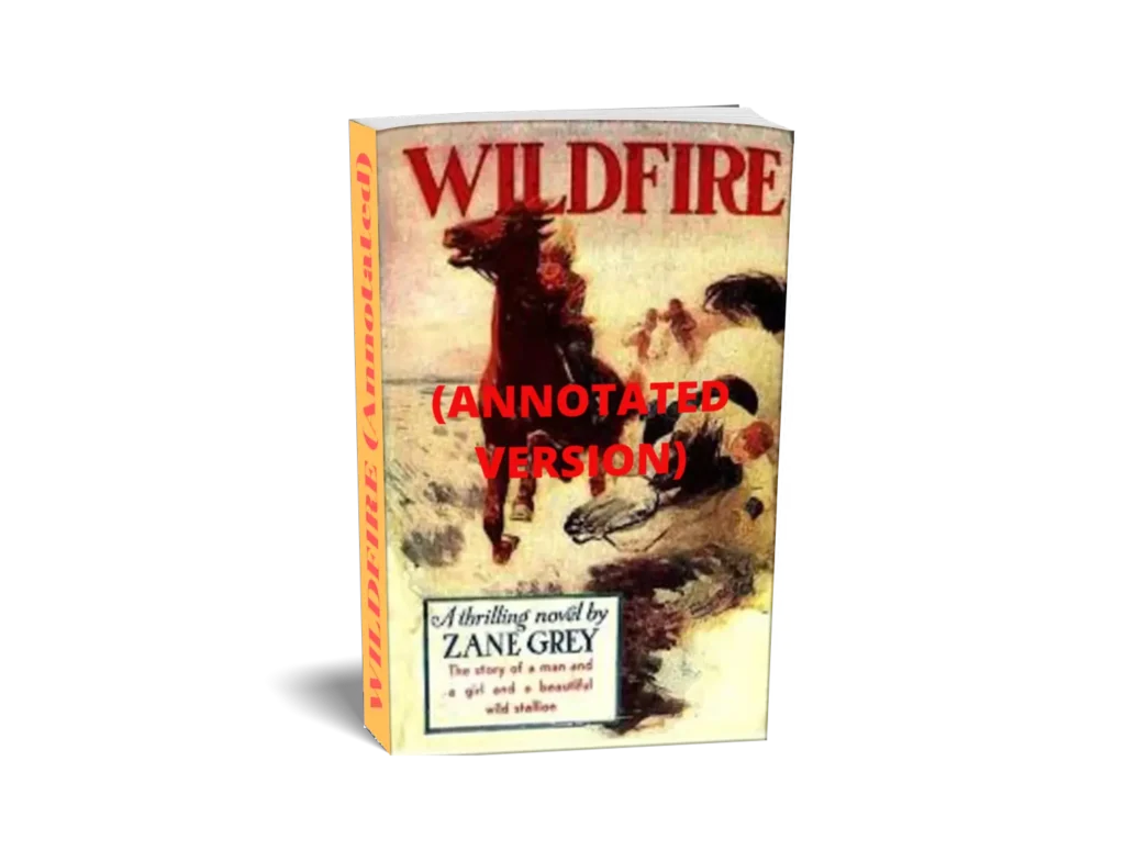 wildfire (annotated)